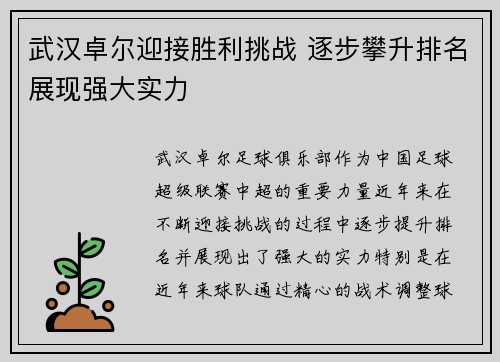 武汉卓尔迎接胜利挑战 逐步攀升排名展现强大实力